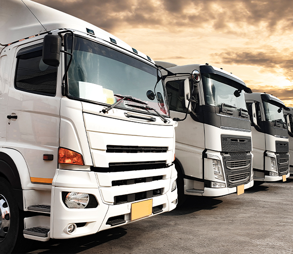 사업소개페이지 기업화물운송 이미지입니다. *기업화물운송은 일산퀵* 